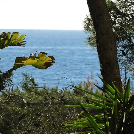 Acacia Sul Mare *