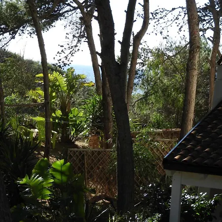 Acacia Sul Mare *