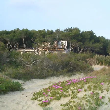 Acacia Sul Mare Gallipoli