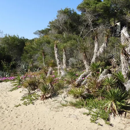 Acacia Sul Mare *