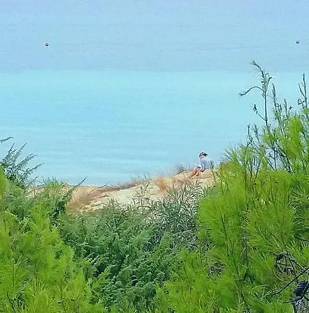Apartment Acacia Sul Mare