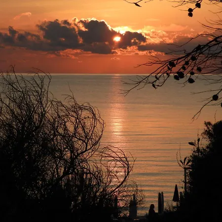Acacia Sul Mare Gallipoli