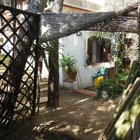 Apartment Acacia Sul Mare *