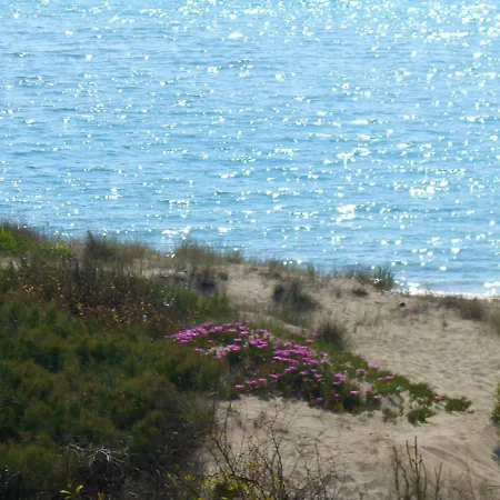 Acacia Sul Mare * Gallipoli