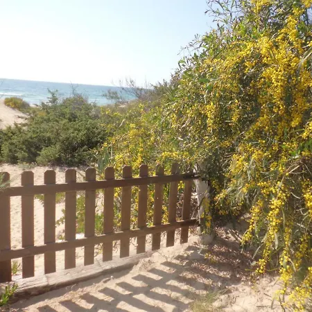 Apartment Acacia Sul Mare *